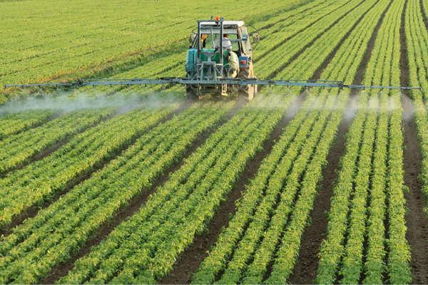 کیفی سازی محصولات زراعی و باغداری مستلزم تامین پیش احتیاج ها و الزامات است