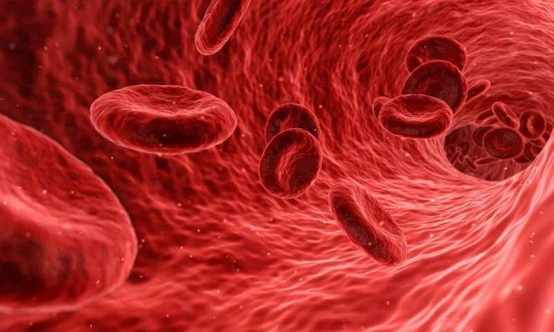 آزمایش خون می تواند آلزایمر را 10 سال زودتر تشخیص دهد آزمایش خون می تواند آلزایمر را 10 سال زودتر تشخیص دهد