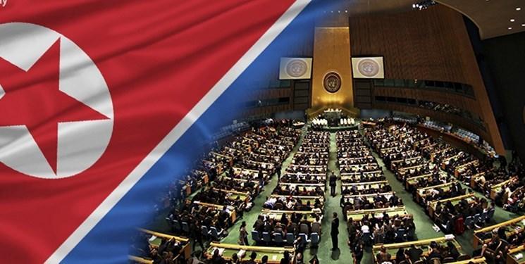 پیونگ یانگ: قطعنامه های شورای امنیت را قبول نداریم
