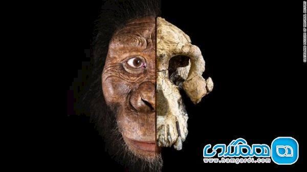 قدیمی ترین انسان های اولیه به چه شبیه بودند؟